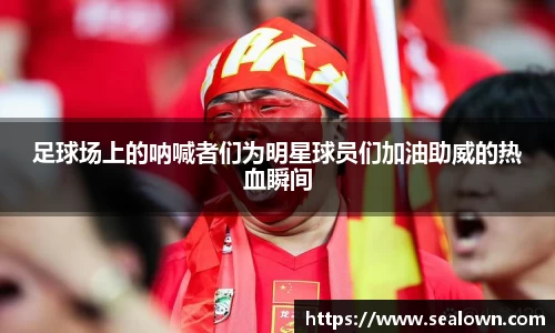 足球场上的呐喊者们为明星球员们加油助威的热血瞬间